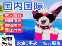 徐州航空托运国际宠物托运 【国